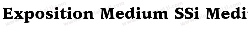 Exposition Medium SSi Medium Italic字体转换